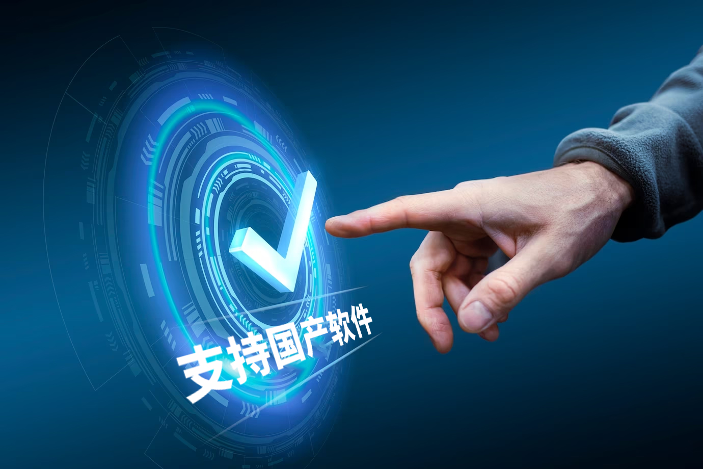 软件国产化