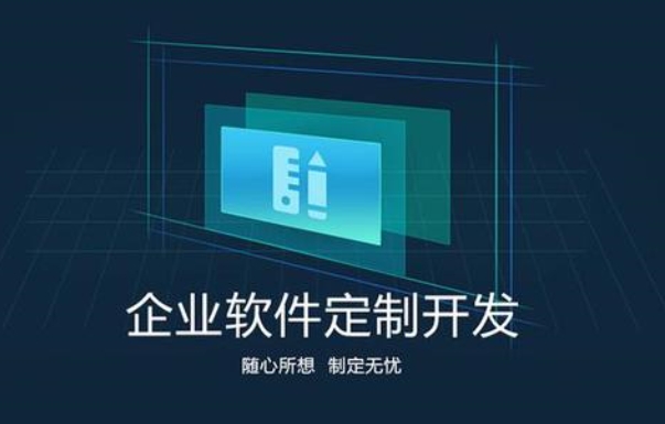 软件项目开发