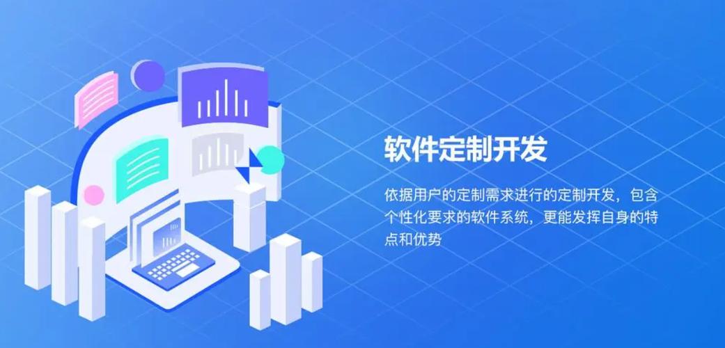 定制型管理软件开发
